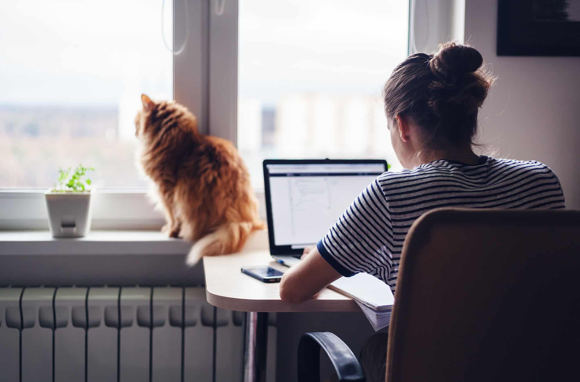 Female Working from home